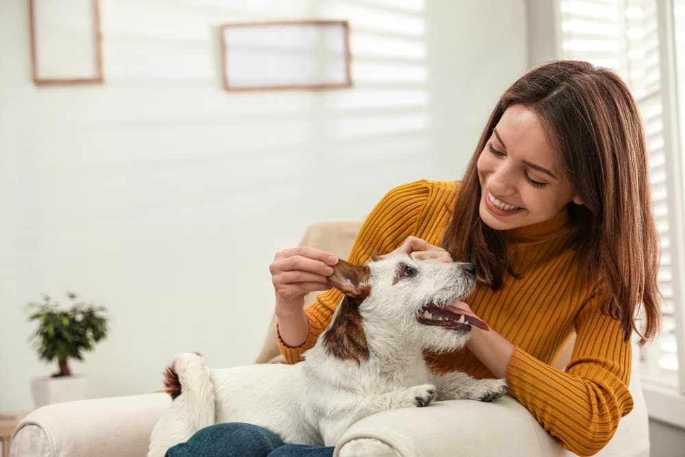 Vitamin C for Dogs: Benefits and Uses
