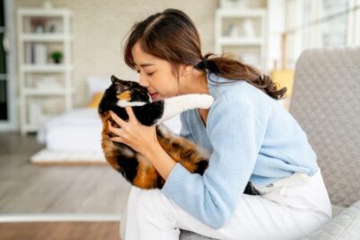9 Ways to Show Your Senior Cat Some Extra Love