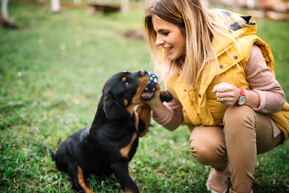 Woman training a puppy outdoors